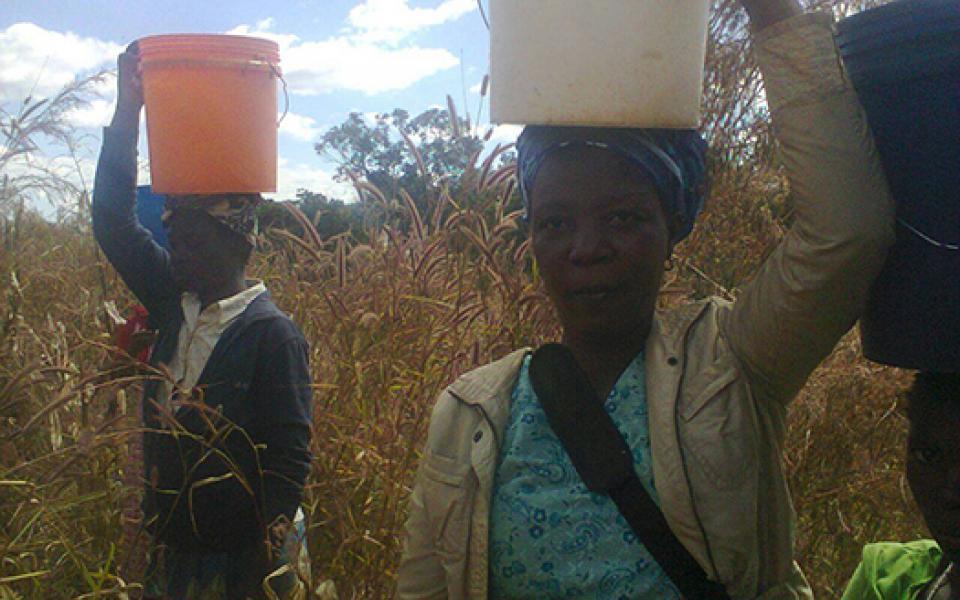 women walking holding water containers on their heads